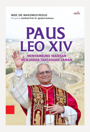 Paus LEO XIV