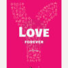 YOUCAT Love Forever – Dari Lajang Menuju Sakramen